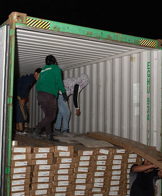 Acerca de nosotros Greeoutlet